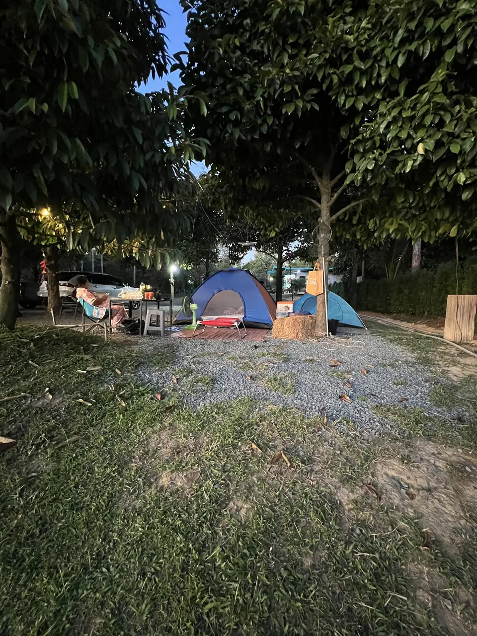 芳木之家果园溪畔营地的营地资料照片