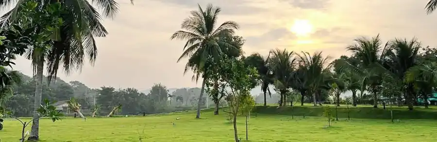 花园景观营地的营地资料照片