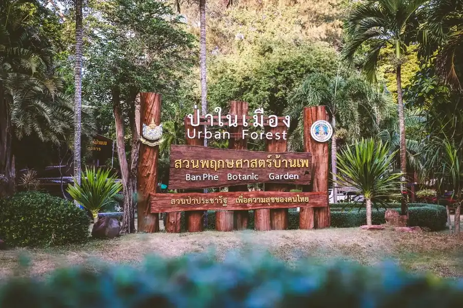 班佩松林植物园营地的营地资料照片