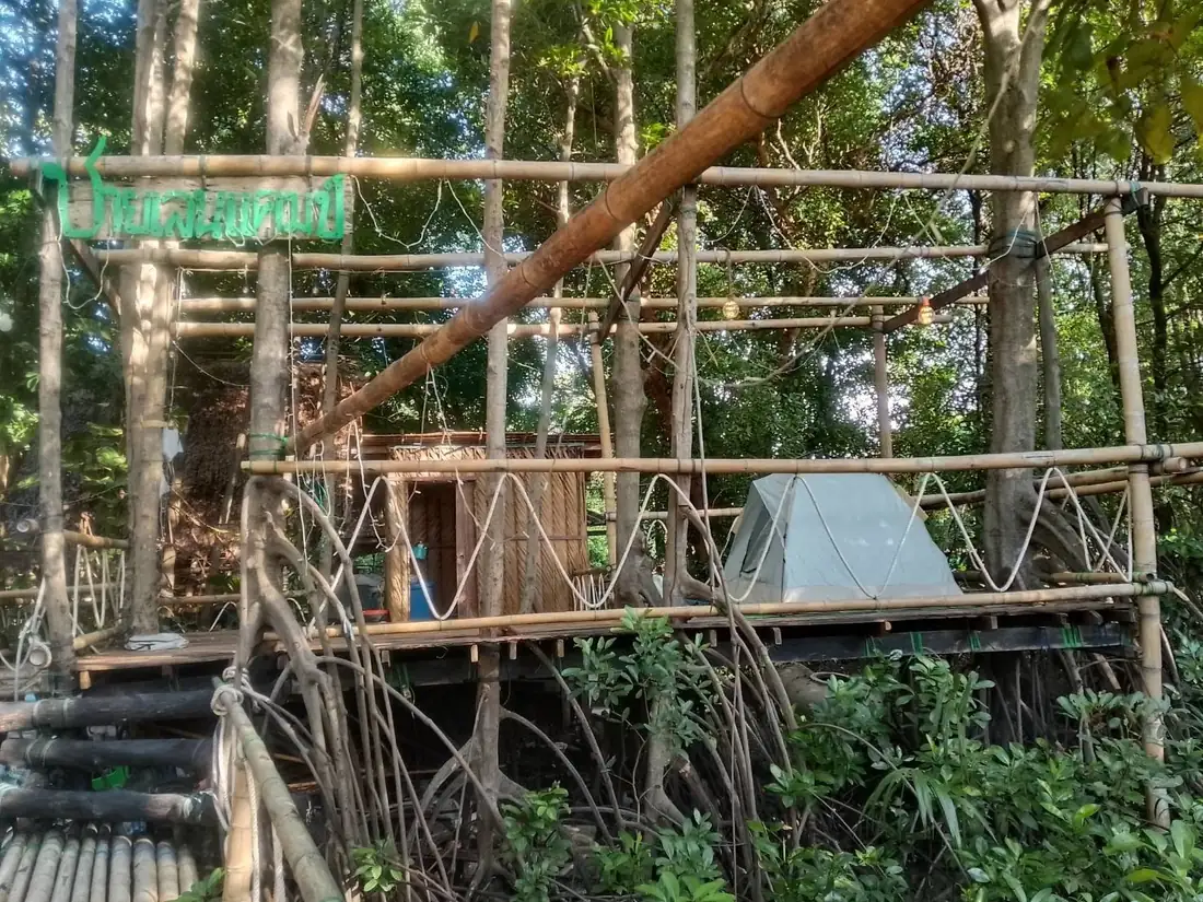 红树林平台营地的营地资料照片