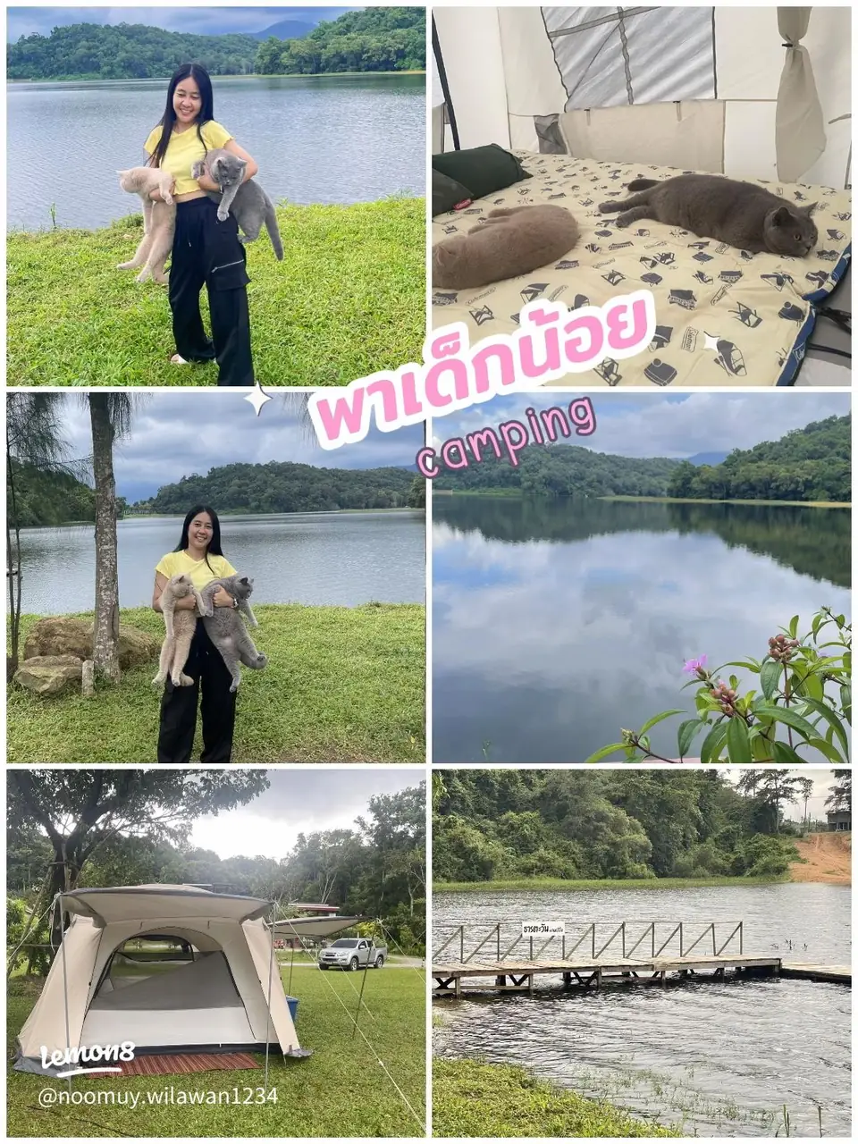 塔拉塔万 · 考竹水库草坪营地的营地资料照片