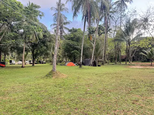 艾克斯营地象岛椰林水畔营地的营地资料照片